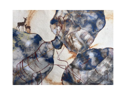 Female Kudu by Whitney Halsted
