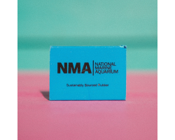 NMA Eraser - Blue