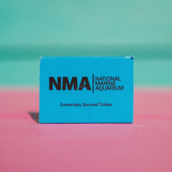NMA Eraser - Blue