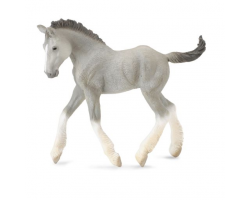 Shire Horse Foal Grey