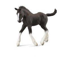 Shire Horse Foal - black