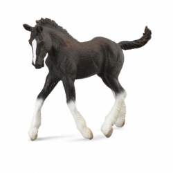 Shire Horse Foal - black