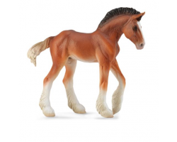 Clydesdale Foal - bay