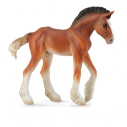 Clydesdale Foal - bay