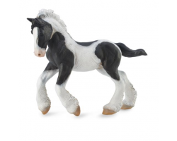 Gypsy Foal - black & white piebald