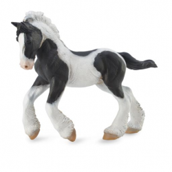 Gypsy Foal - black & white piebald