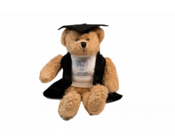 Oxford University Graduation Bear