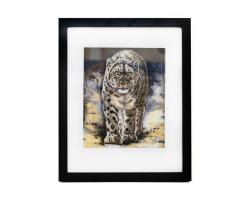 EM Medium Framed Print- Yarko