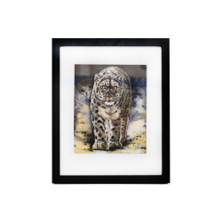 EM Medium Framed Print- Yarko