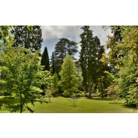 Child Arboretum Admission inc Seasonal Trail