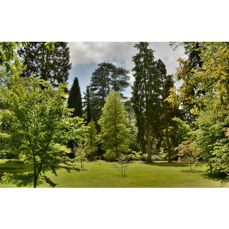 Adult Arboretum Admission