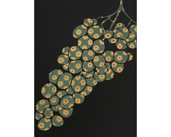 Fruits of Temptation 2: Grapes by Alisha Kaliciak