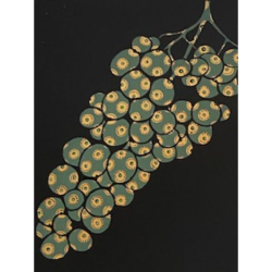 Fruits of Temptation 2: Grapes by Alisha Kaliciak