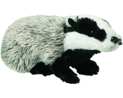 Plan Badger Medium