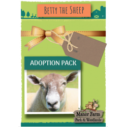 Betty the Sheep Adoption