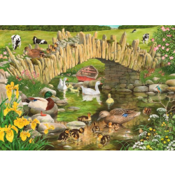 Duck Duck Goose Big 250