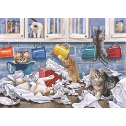 Kitty Litter Big 250