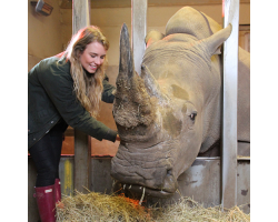 Big Zoo Animals Experience for 1