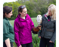 Bird of Prey Experience for 2