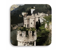 Coaster - Castle