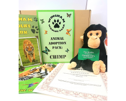 Chimpanzee Adoption Gift Box (inc. delivery)