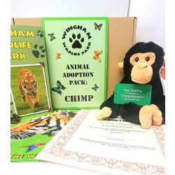 Chimpanzee Adoption Gift Box (inc. delivery)