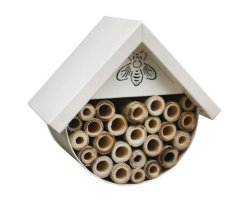 Bees and insect house