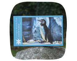 Wildlife Park jigsaw - Penguin