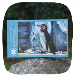 Wildlife Park jigsaw - Penguin