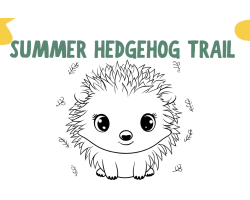 Children's Hedgehog Hunt  (included in activity bags )