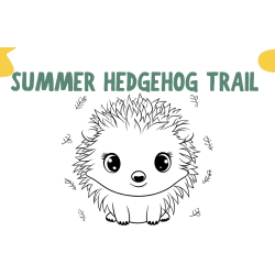 Children's Hedgehog Hunt  (included in activity bags )