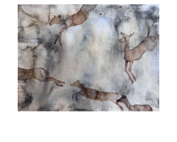 Female Impala by Whitney Halsted