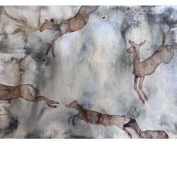 Female Impala by Whitney Halsted