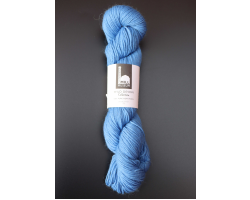 Larkspur - 100g (DK009)