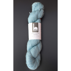 Larkspur/Angelica - 100g (DK010)