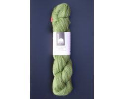 Nettle - 100g (DK013)