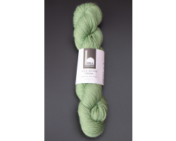 Sea Foam/Nettle - 100g (DK016)