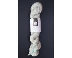 Silver Birch - 100g (DK017)