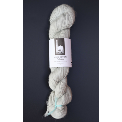 Silver Birch - 100g (DK017)