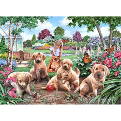 Mucky Pups Big 500