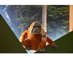 Cuddly Orangutan Teddy Image