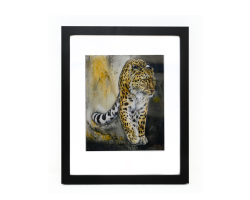 EM Medium Framed Print- Leia