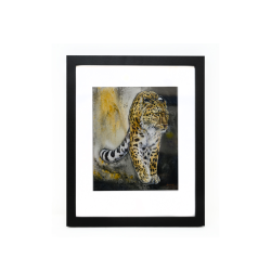 EM Medium Framed Print- Leia