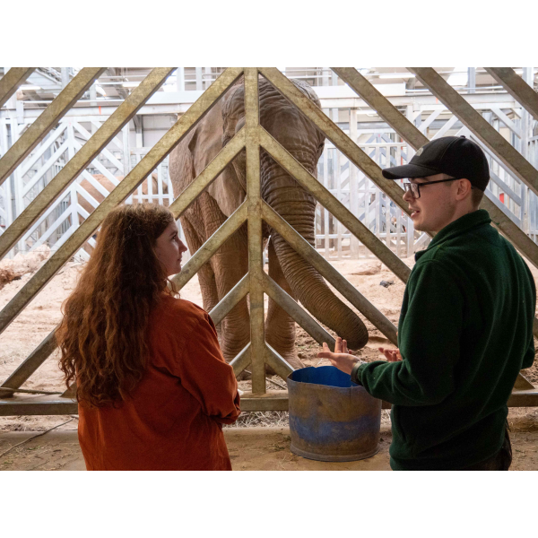 Buy Animal Experiences Tickets online Noah's Ark Zoo Farm