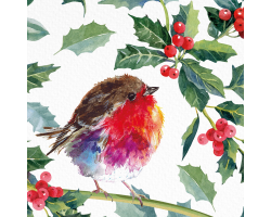 Holly Robin