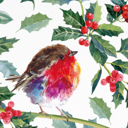Holly Robin