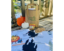 Children's Pumpkin Trail Activity Bag (17th Oct - 8th Nov)