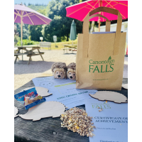Children's Hedgehog Hunt Activity Bag: trail, duck food, pencils, certificate,  little prize