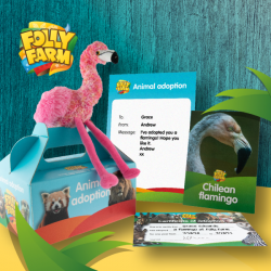 Flamingo adoption silver