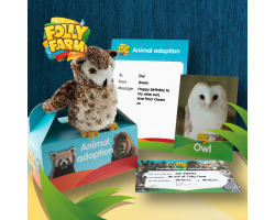 Owl adoption silver